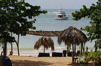 Beach of the Hotel PALAPA BEACH - Las Terrenas - Dominican Republic